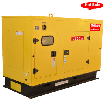 Home Use Silent Type Diesel Generator (BU30KS)